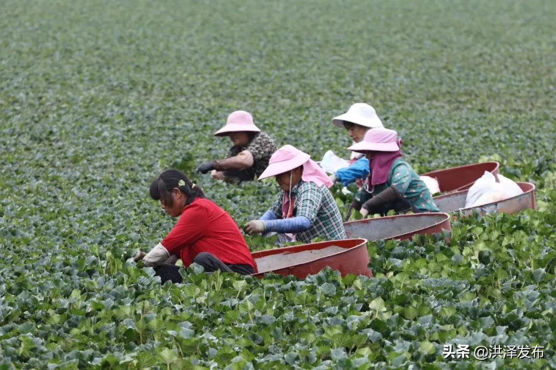 忙畔街道人事任命揭晓，塑造未来，激发新活力新篇章开启